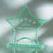 JGS8910_JadeGlass_Star_Award.jpg (32126 bytes)