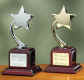 GS526_SS526_gold_silver_casting-star-award.jpg.jpg (42460 bytes)