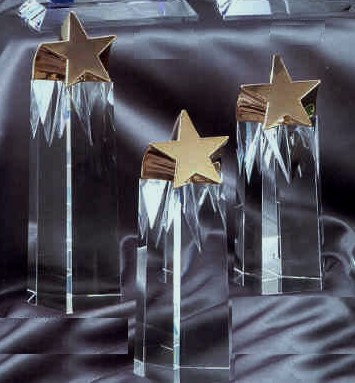 gold star award. star awards catalog 1,