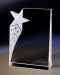 OCS90_Optical_Crystal_Star_Award.jpg (15304 bytes)