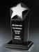 BS891_Black_Silver-Star_Award.jpg (71759 bytes)